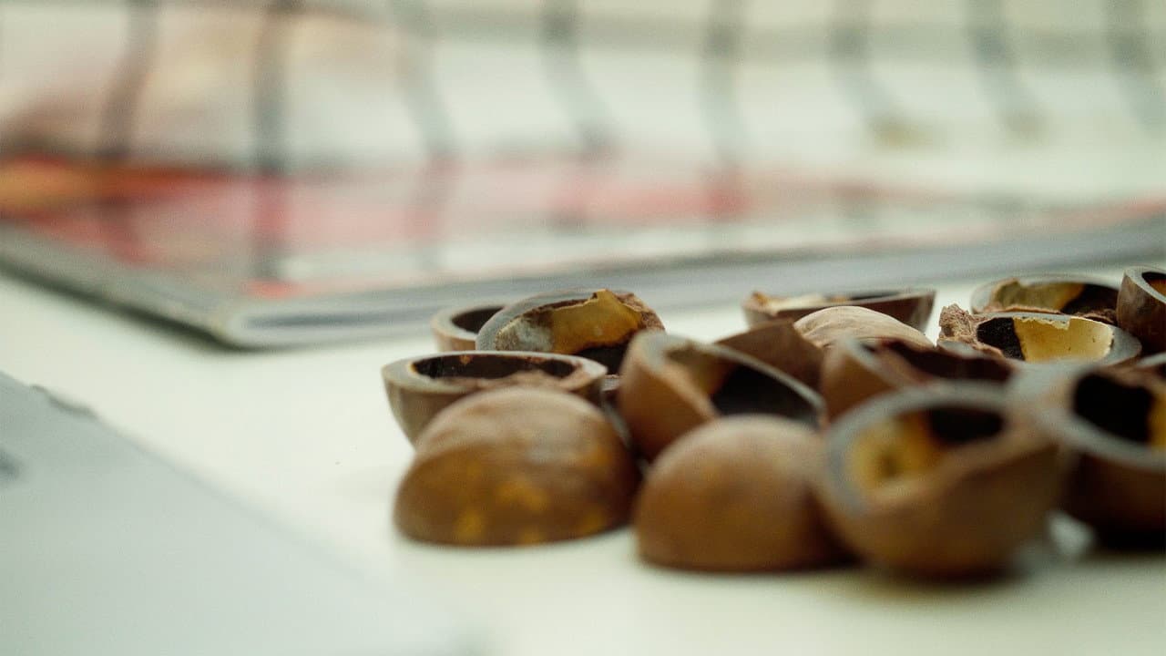 Backdrop – MACADAMIA