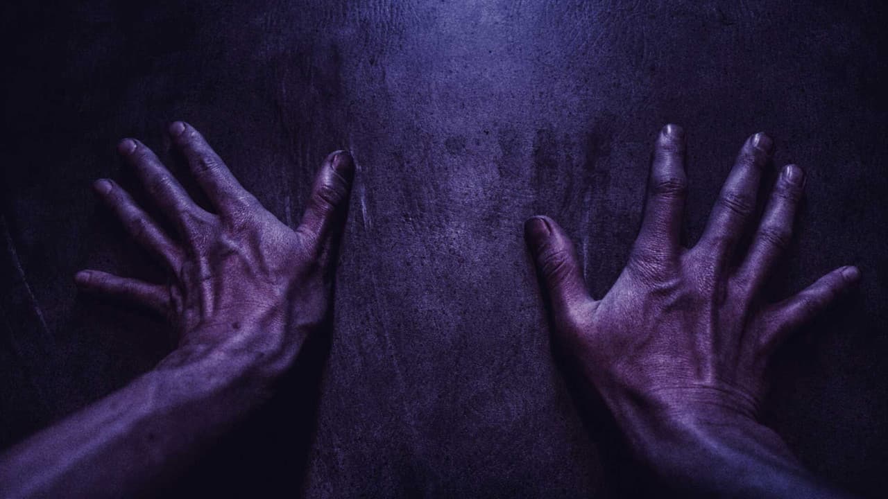 Backdrop – Jsem brána