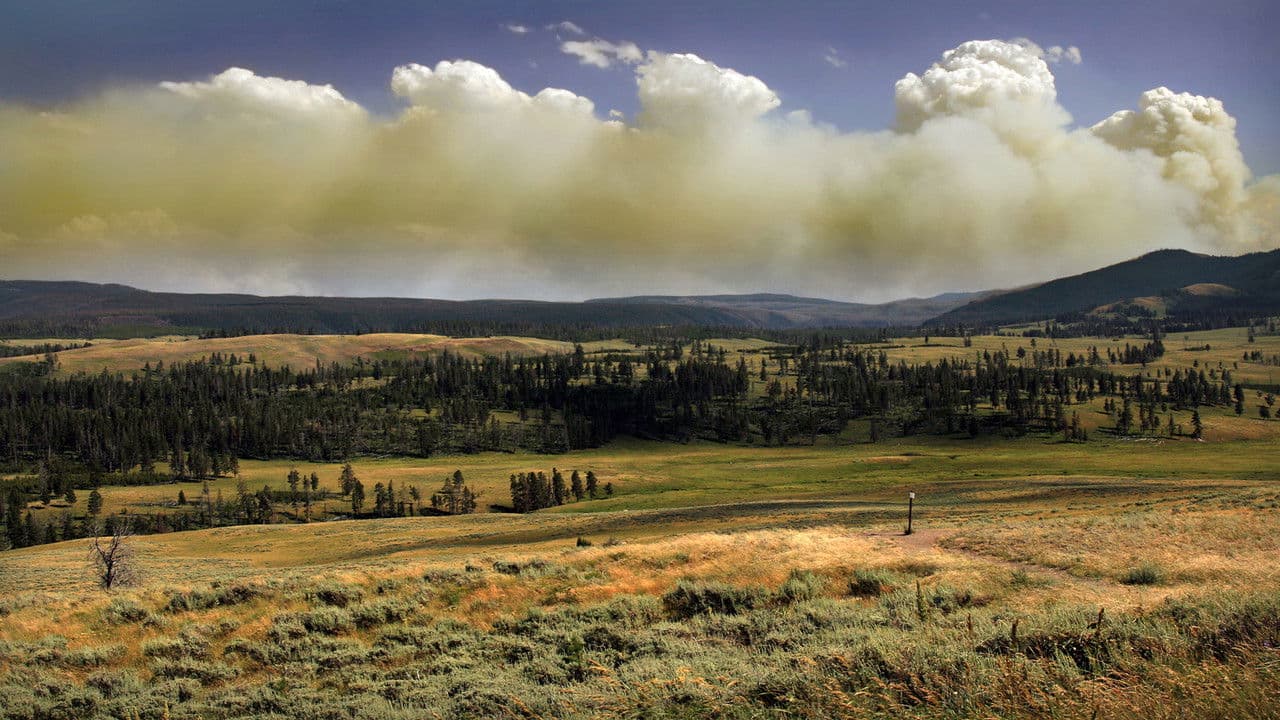 Backdrop – National Parks Exploration Series: Yellowstone