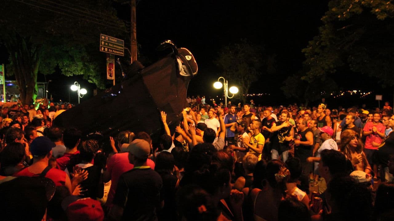 Backdrop – É o Boi