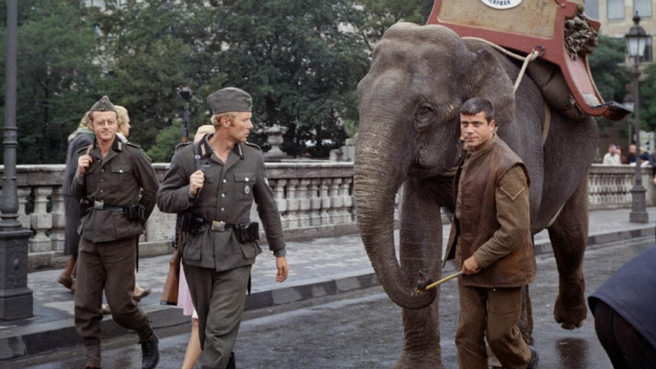 Backdrop – Hannibal Brooks