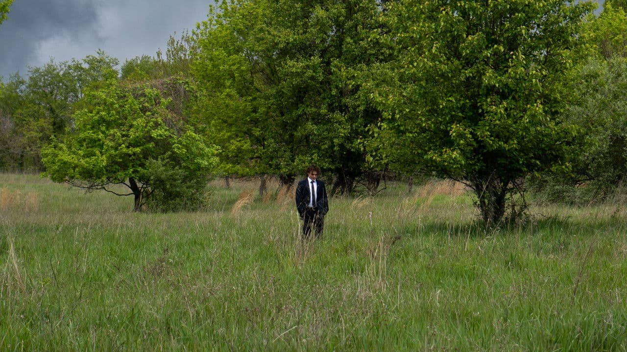 Backdrop – WILDERNESS