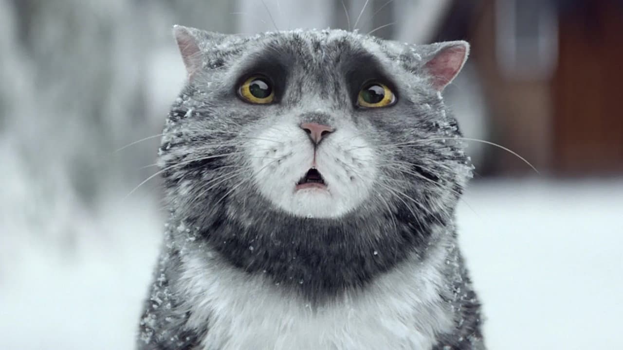 Backdrop – Sainsbury's: Mog's Christmas Calamity