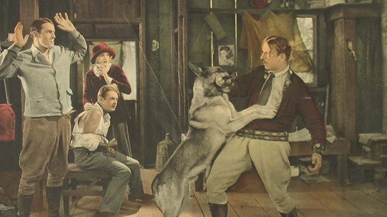 Backdrop – North Star