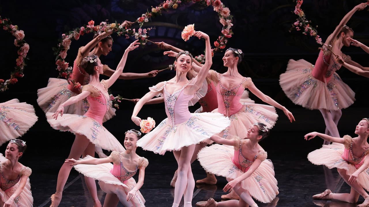 Backdrop – Le Corsaire