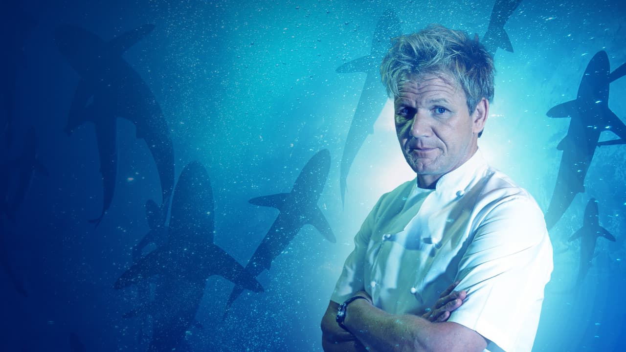 Backdrop – Gordon Ramsay: Shark Bait