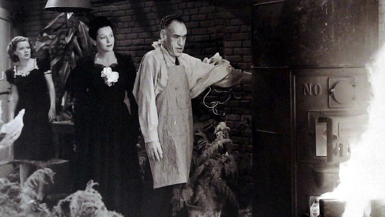 Backdrop – The Spider Woman Strikes Back