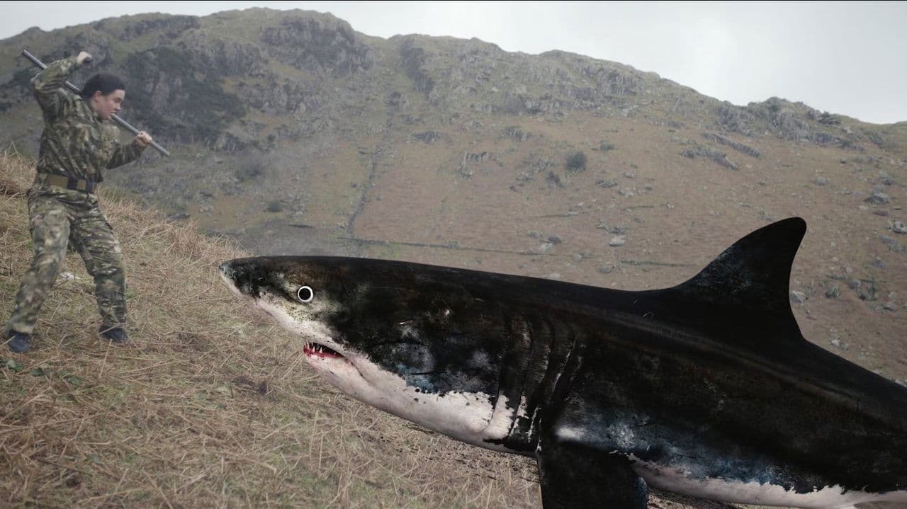 Backdrop – Mountain Shark