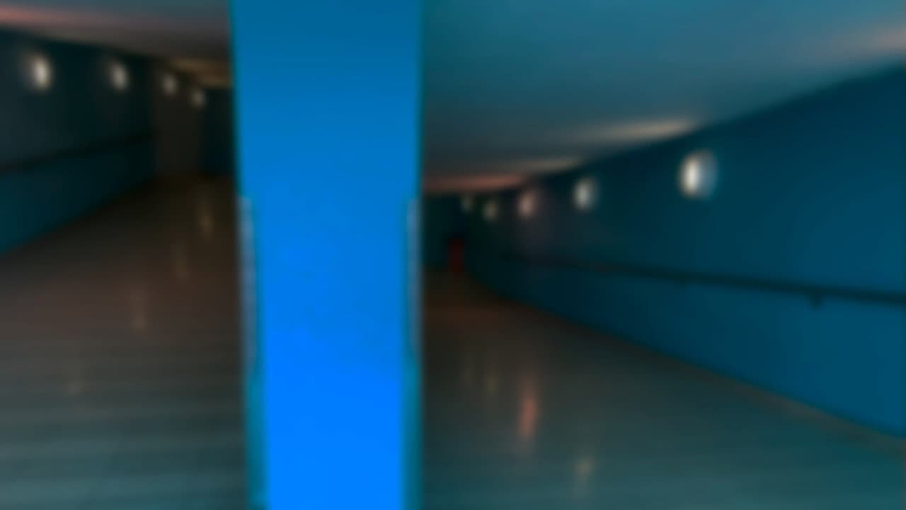 Backdrop – un mundo de alegría