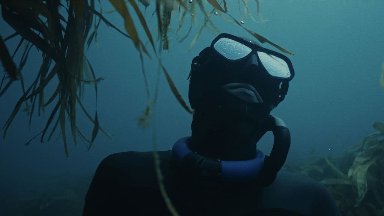 Backdrop – The Hold