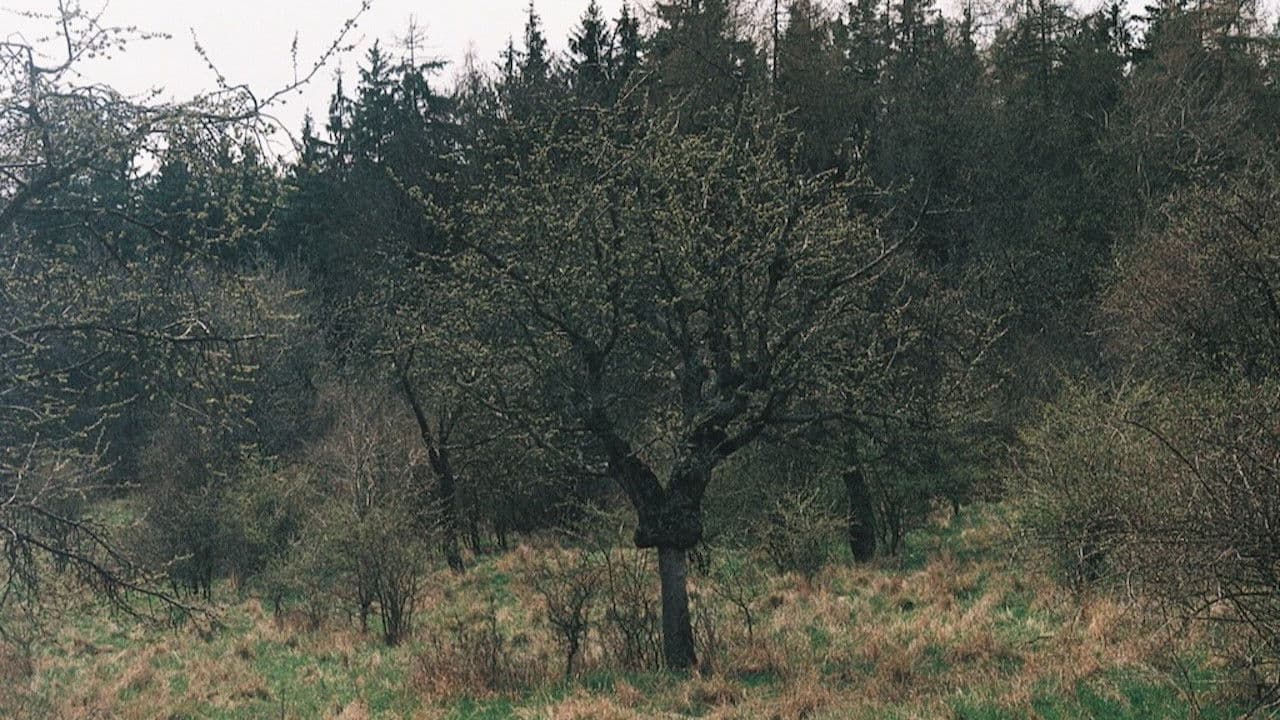 Backdrop – Takovéhle jaro snad ještě nebylo