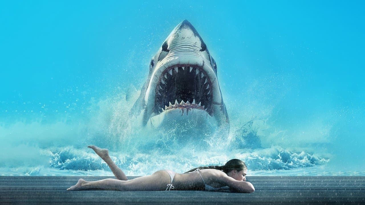 Backdrop – Shark Warning