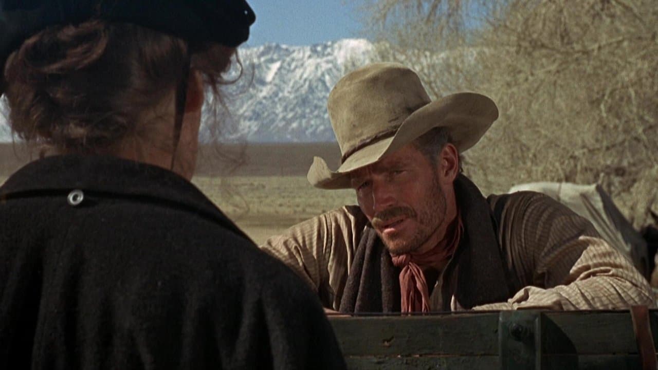 Backdrop – Der Verwegene