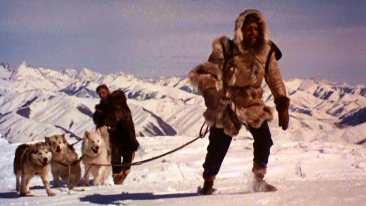 Backdrop – Gefährten des Grauens