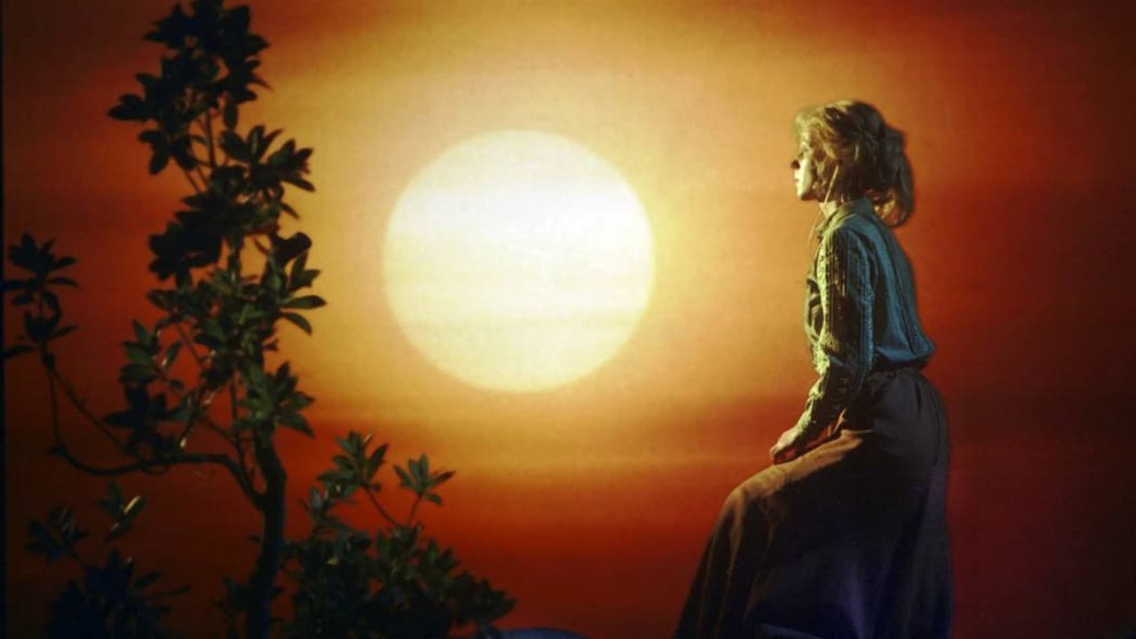 Backdrop – Der Prinz hinter den sieben Meeren