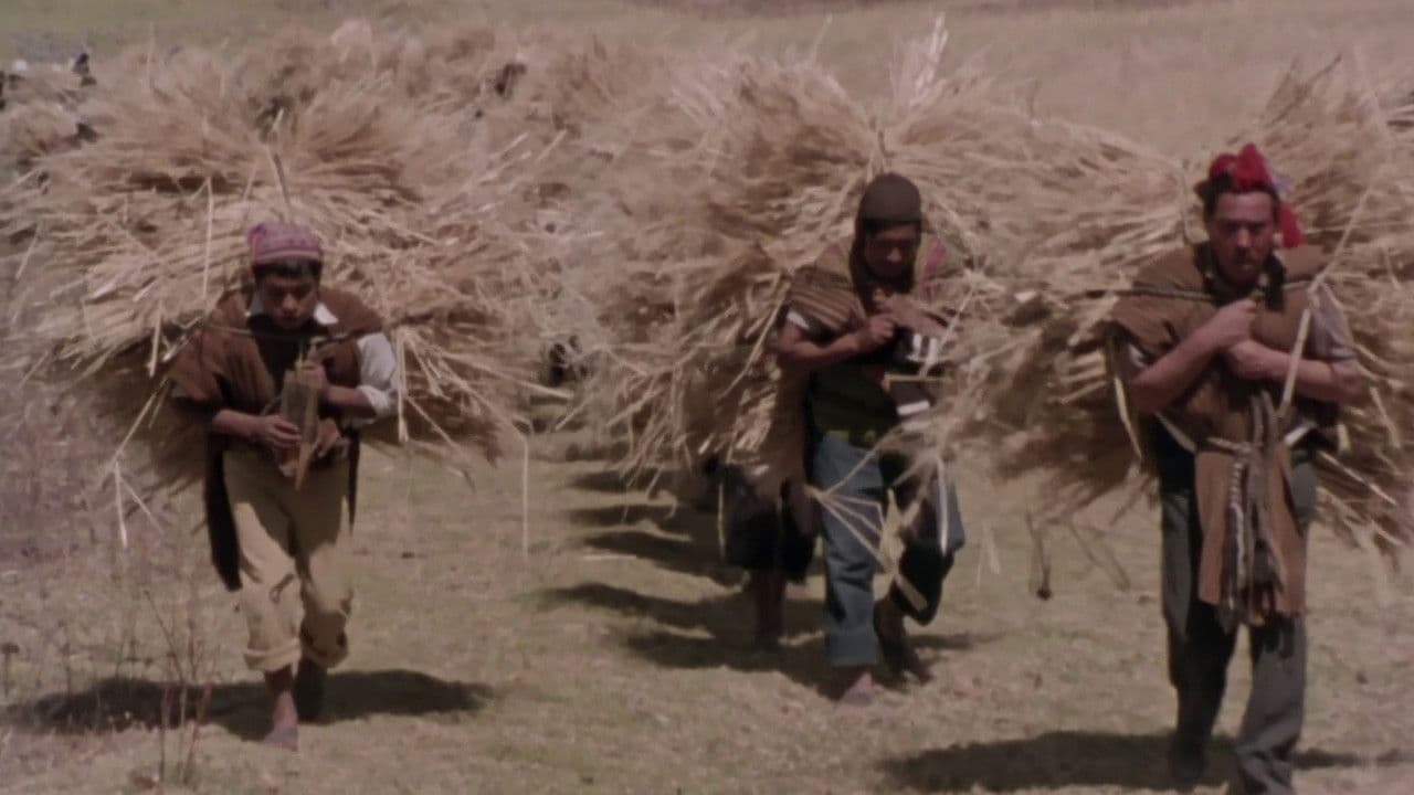 Backdrop – Mémoires d'une enfant des Andes