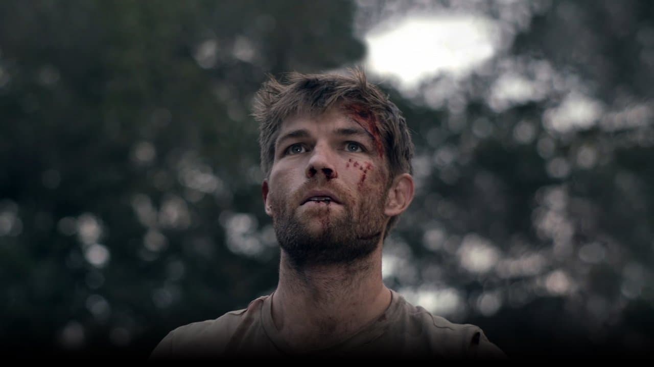 Backdrop – The Clearing