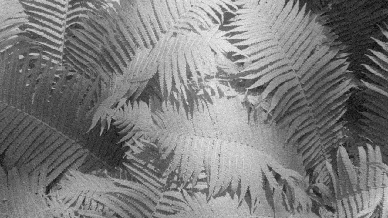 Backdrop – Materia vibrante