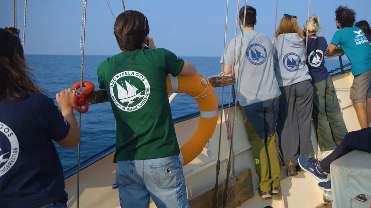 Backdrop – Saving the Hidden Coral of the Mediterranean