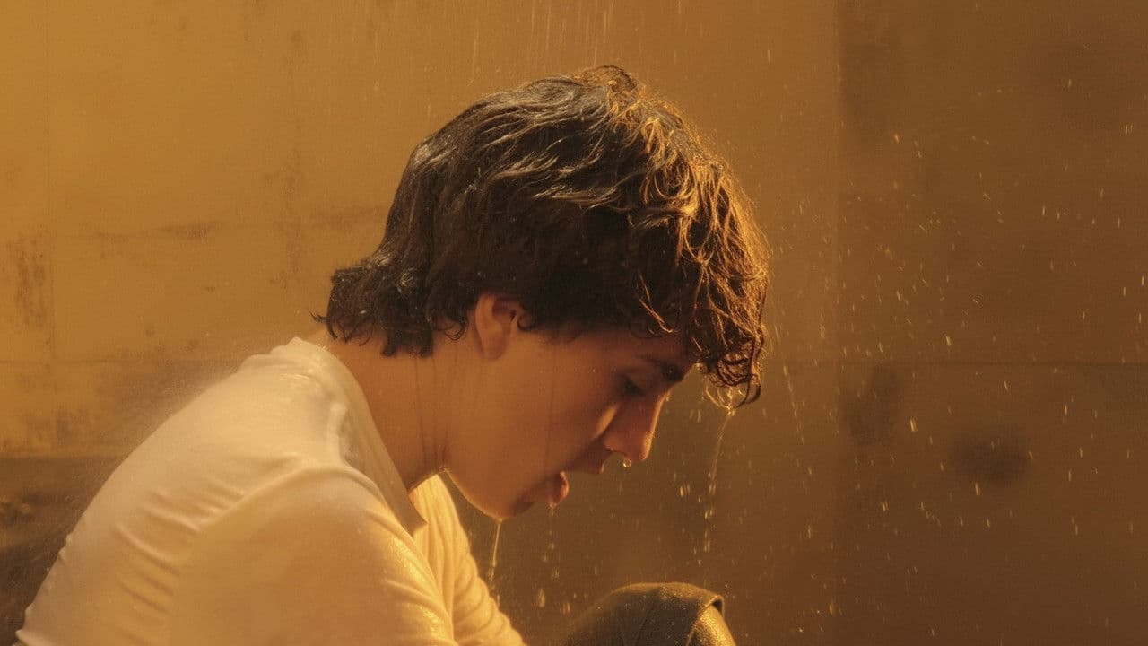 Backdrop – Juegos Inocentes