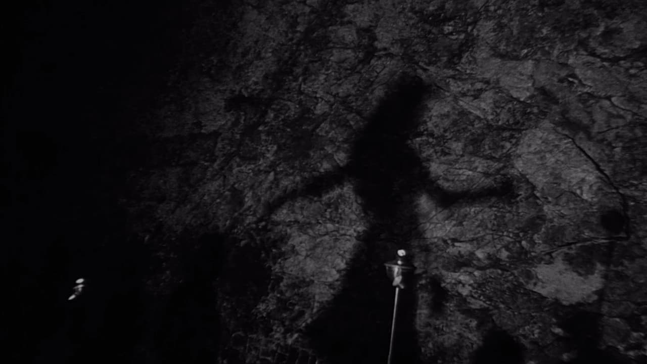 Backdrop – Night Tide