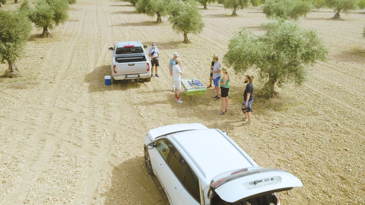 Backdrop – Blood of the Ancient Vine