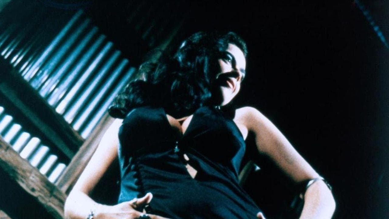 Backdrop – Drüber, drunter und drauf