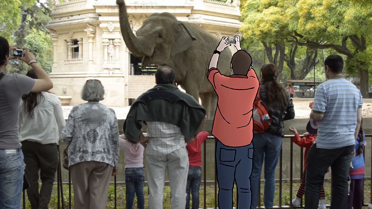 Backdrop – Zoofobia