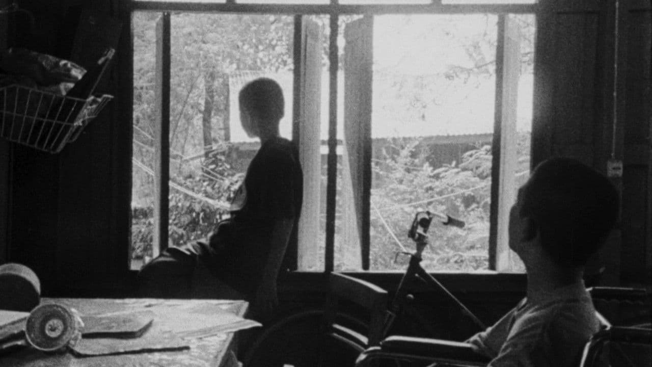 Backdrop – ดอกฟ้าในมือมาร