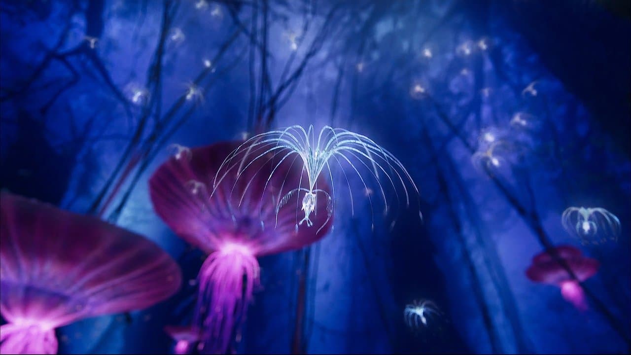 Backdrop – Avatar: Creating the World of Pandora