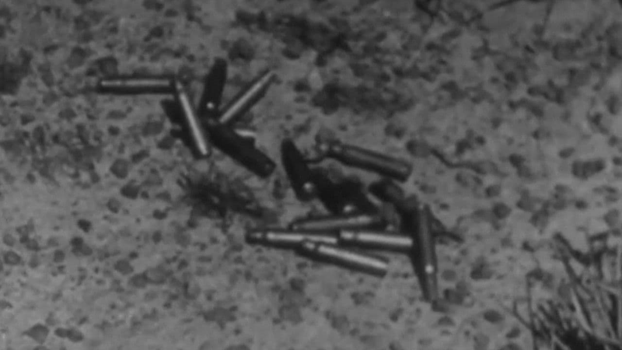 Backdrop – Afrique 50