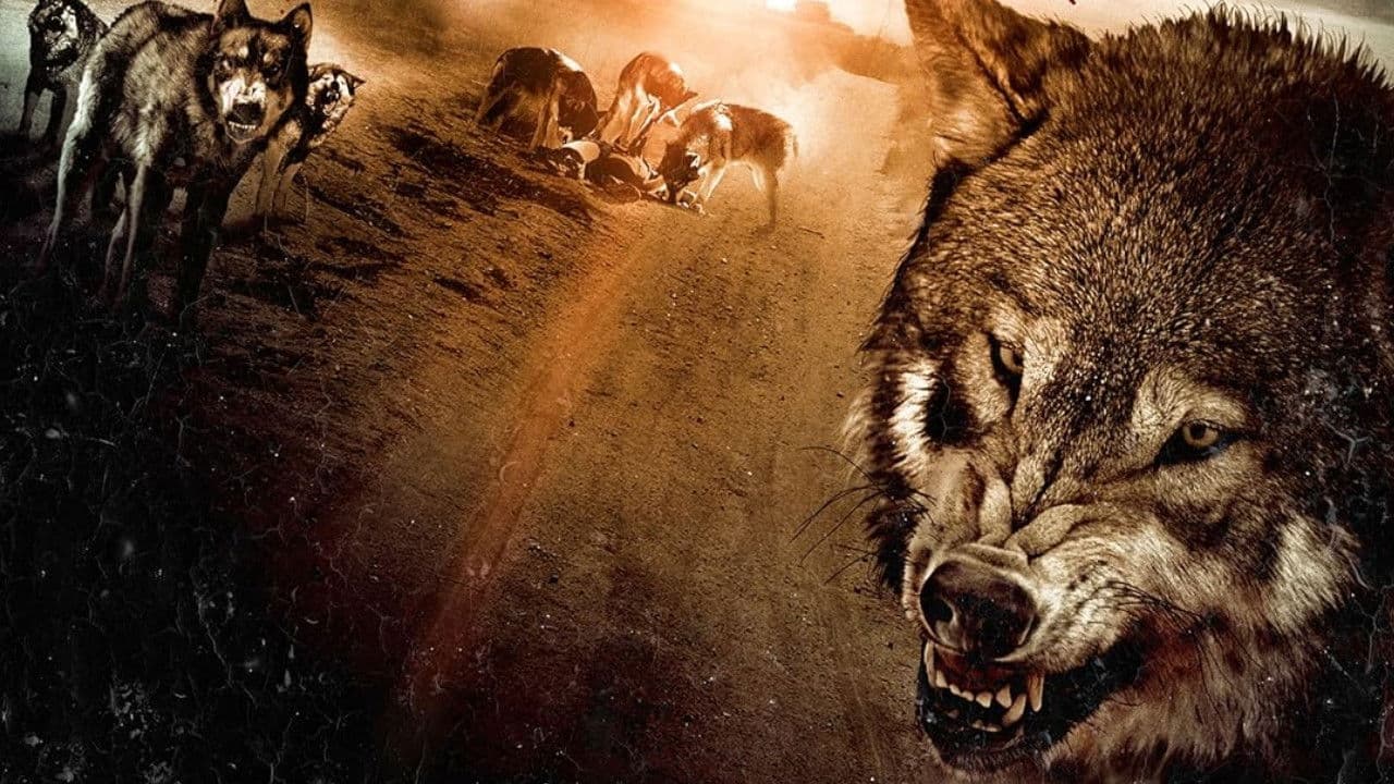 Backdrop – Wolf Town