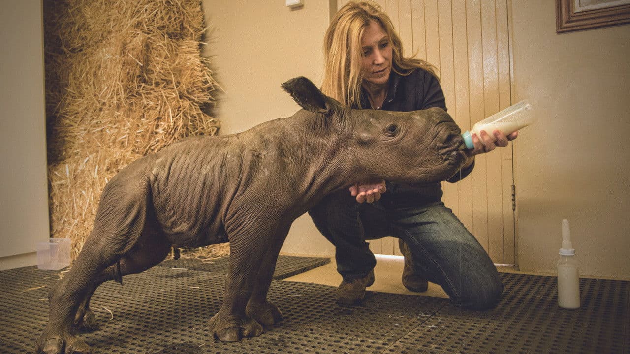 Backdrop – Stroop: Journey into the Rhino Horn War