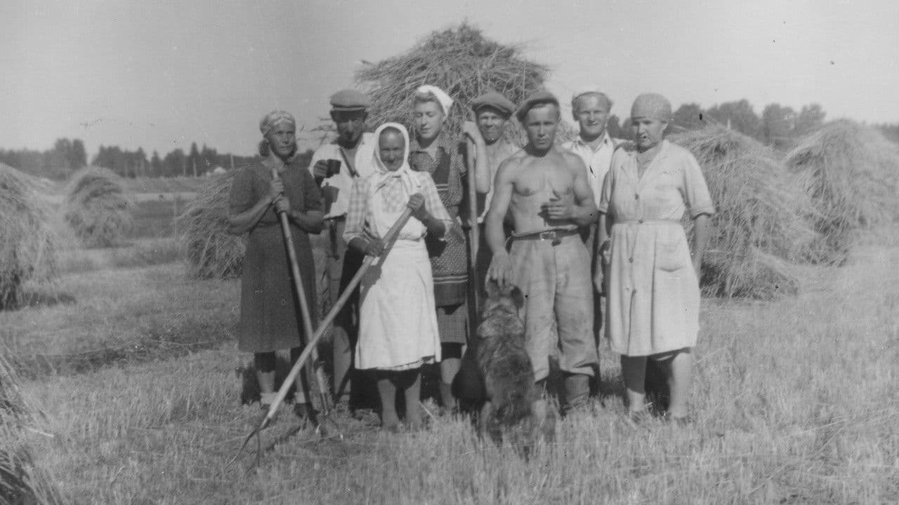 Backdrop – Tuntematon emäntä