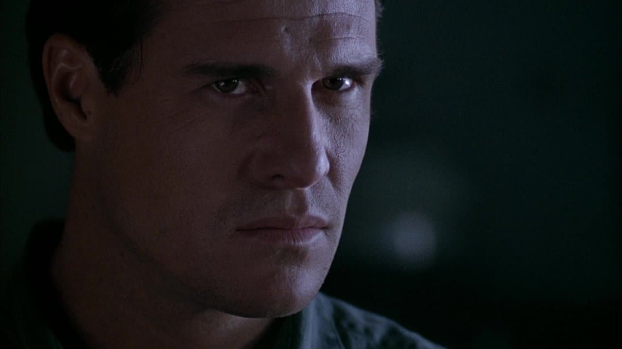 Backdrop – Philadelphia Experiment 2