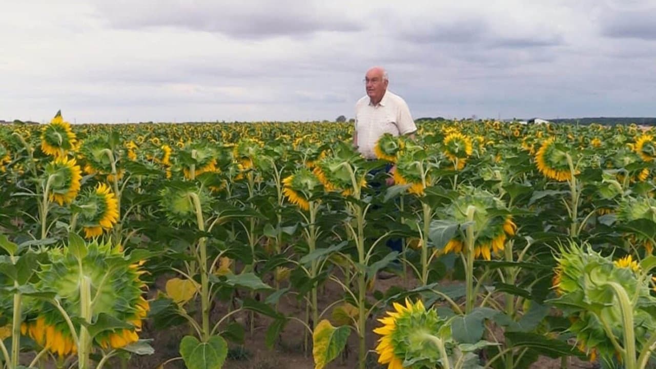 Backdrop – Beau comme un tracteur