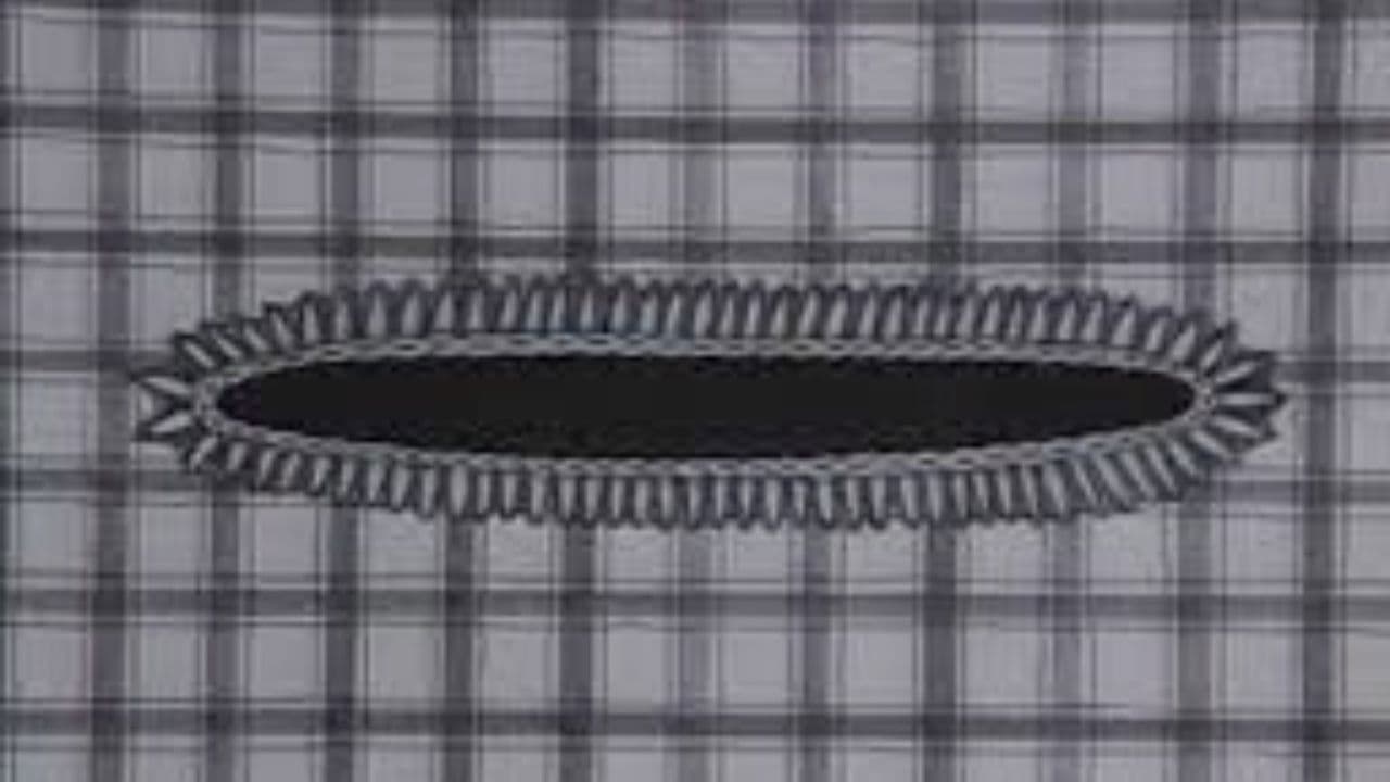 Backdrop – Diskjockey