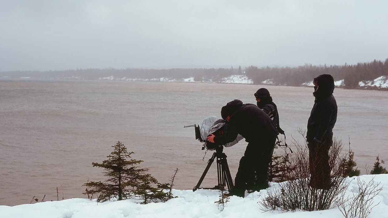 Backdrop – Freshwater