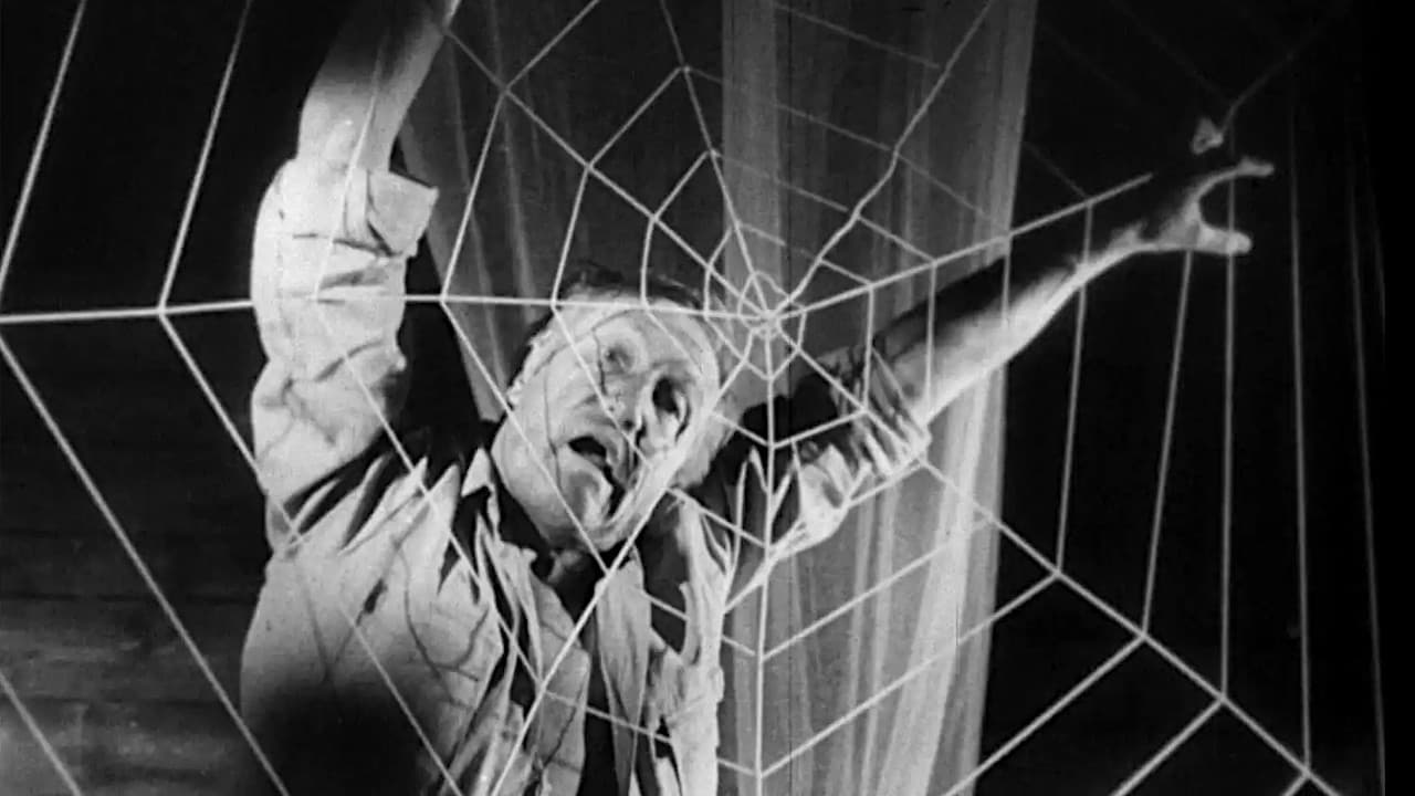 Backdrop – Ein Toter hing im Netz