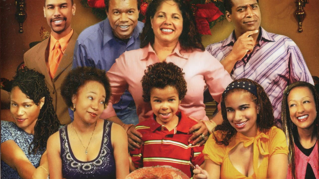 Backdrop – Johnson Family Christmas Dinner