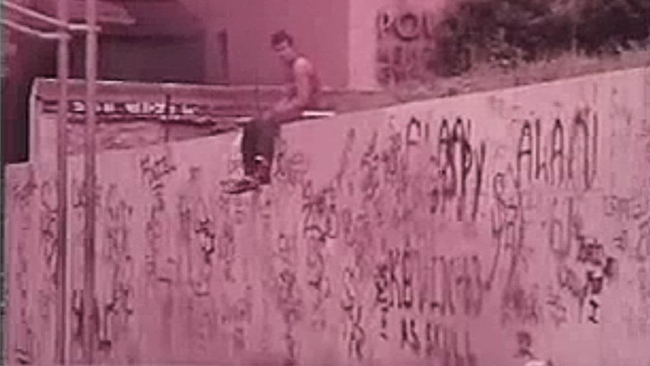 Backdrop – The Vandals