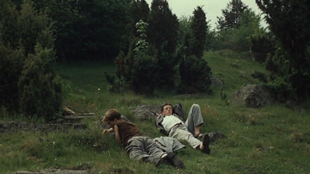 Backdrop – Stín kapradiny