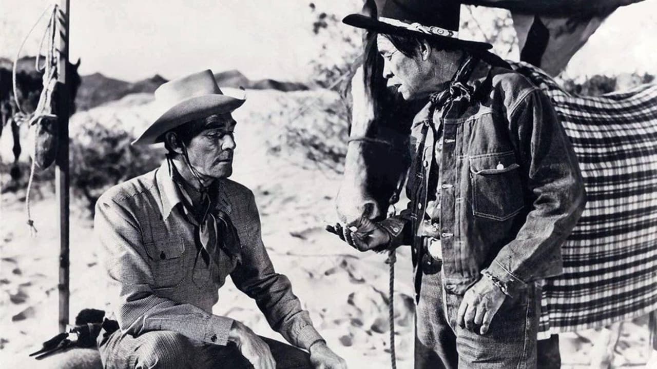 Backdrop – Treibsand