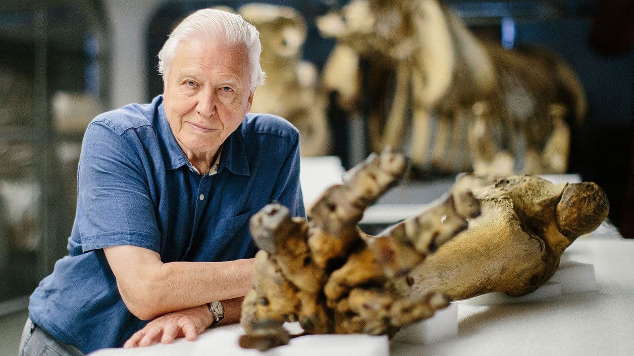 Backdrop – Attenborough and the Giant Elephant