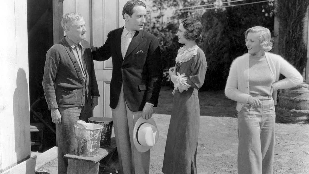 Backdrop – Party Wire