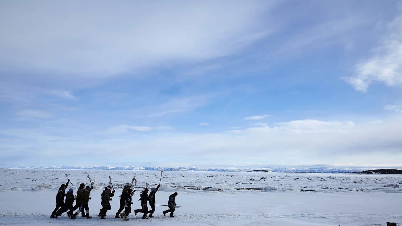 Backdrop – The Grizzlies