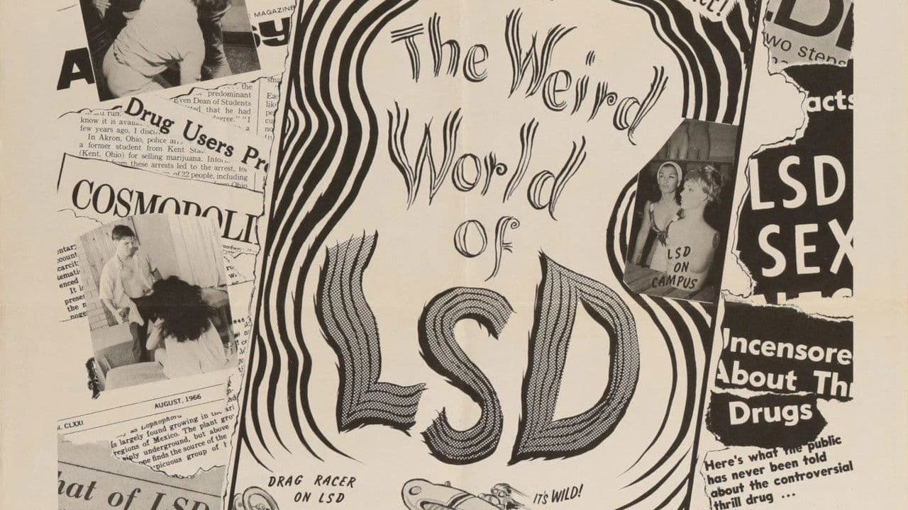 Backdrop – The Weird World of LSD