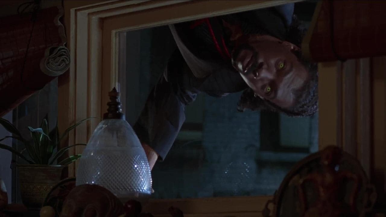 Backdrop – Vampire in Brooklyn