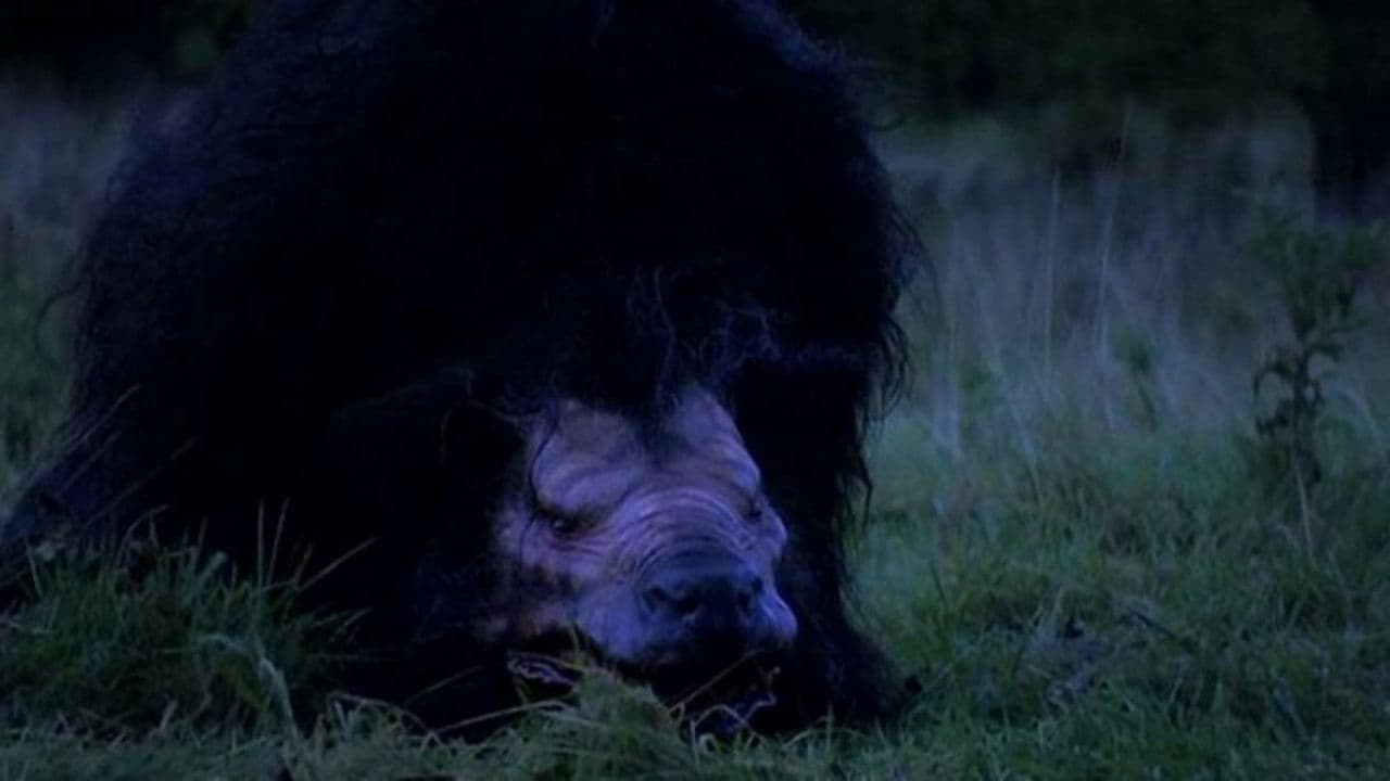 Backdrop – Wild Country