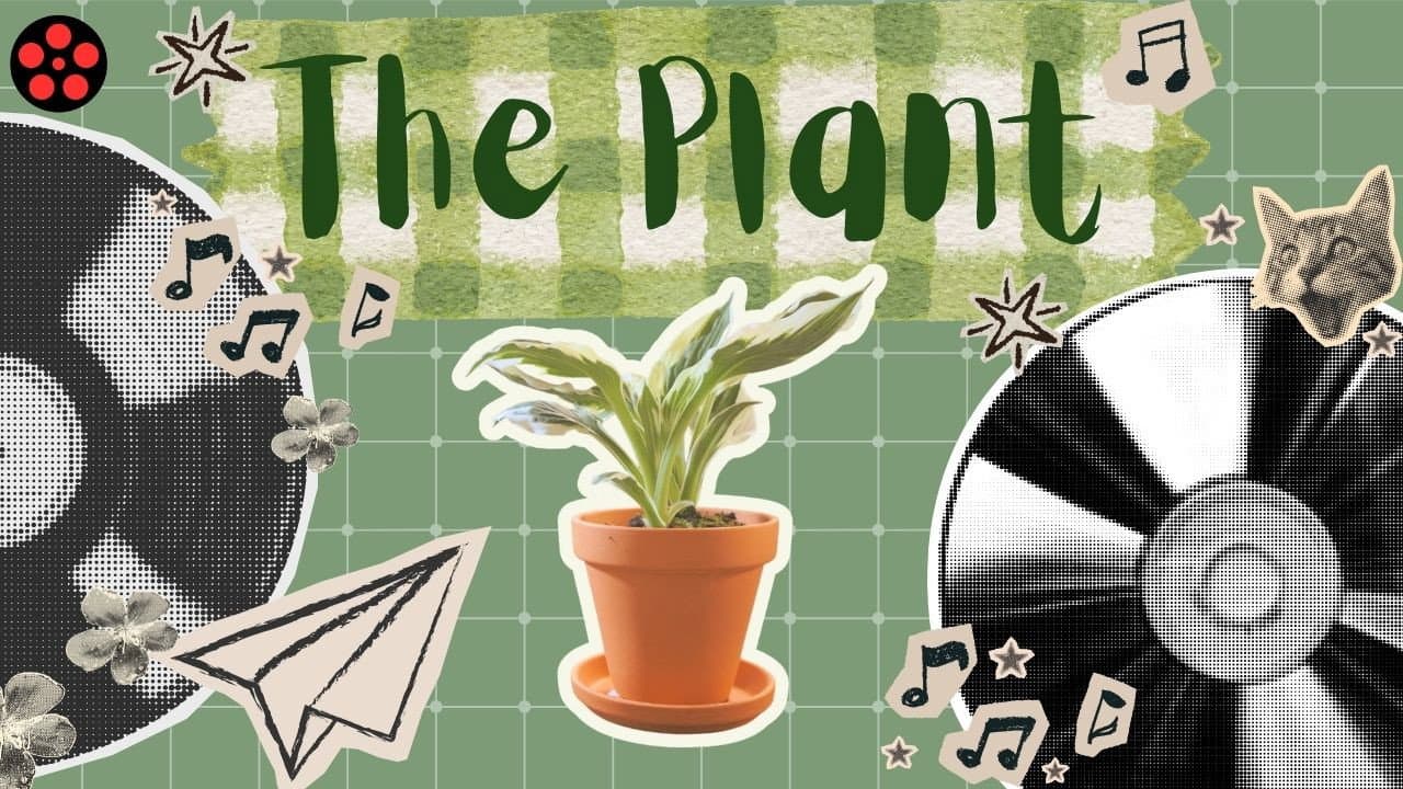 Backdrop – The Plant